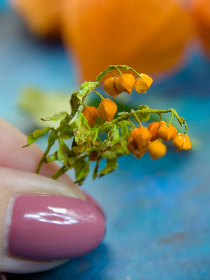 TUTORIAL Miniature physalis with air dry clay