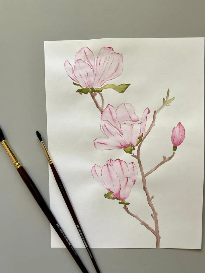 Pink magnolia flower art. Flowers painting classic watercolor paintings. Original watercolor painting.