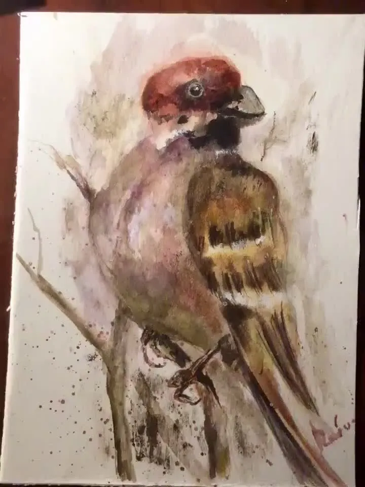 Bulfinch bird original watercolour painting,unique handmade gift,home decoration,birds painting,small paintings wall decoration.