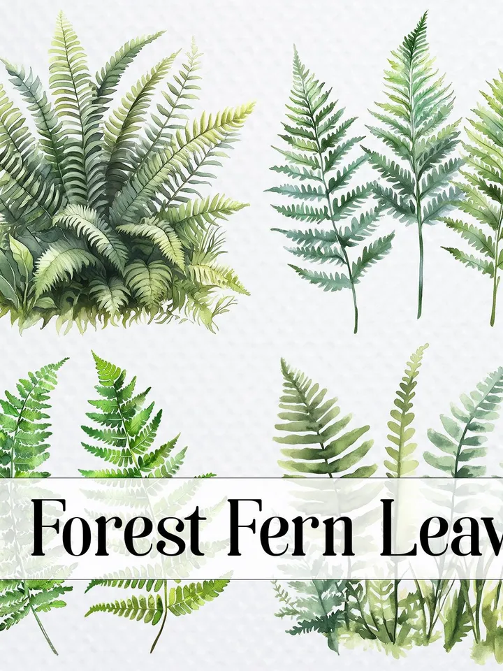 12 Forest Fern Leaves PNG bundle, Printable Watercolor Fern Clipart for sublimation, Digital download, Paper craft, junk journals