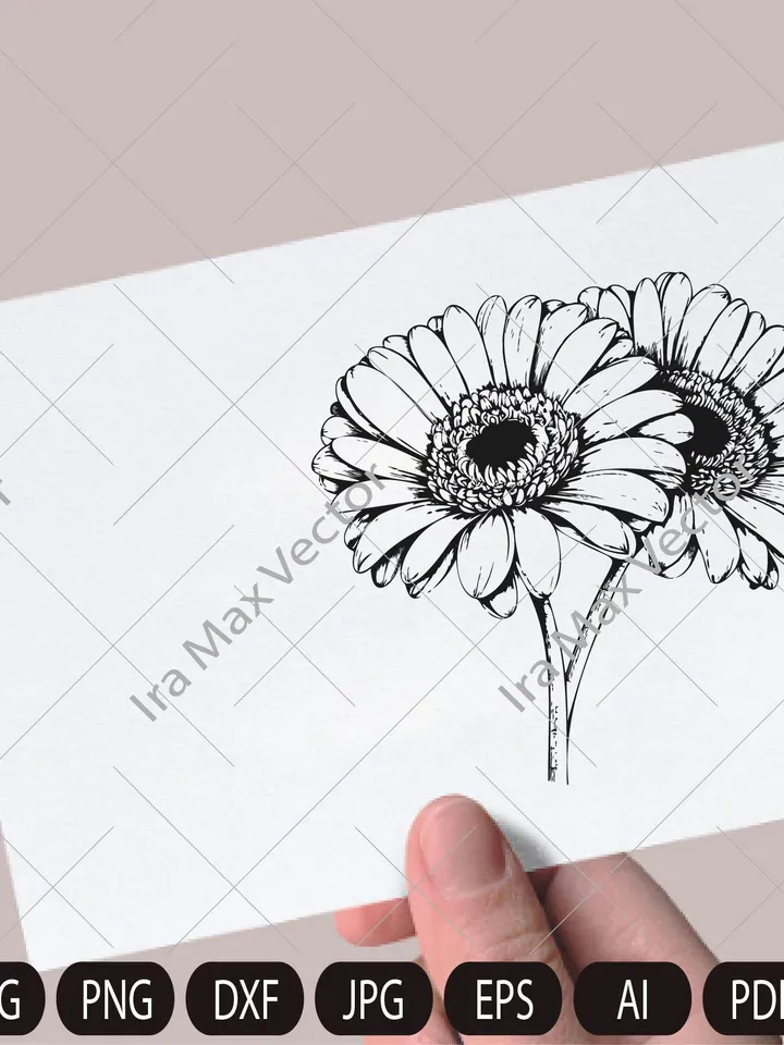 Gerbera svg, Daisy svg, Cute Wildflower, Gerbera set, Botanical Floral Clipart, Garden Plant Silhouette, Wedding Vinyl Cut file
