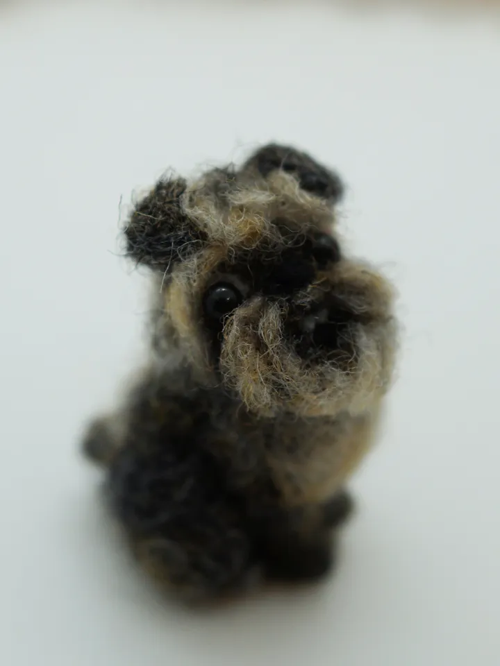 Tiny needle felted Brussels Griffon, miniature felted pet, dog portrait, made to order