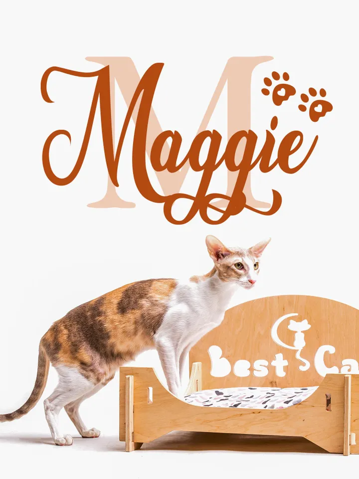 Cat Name Wall Decal Personalized Sticker Sign Custom Pawprint