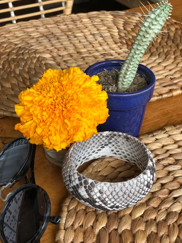 FAST SHIPPING Genuine python skin round bracelet, pythonskin leather bracelet, bangle gray leather bracelet, wide bracelet python