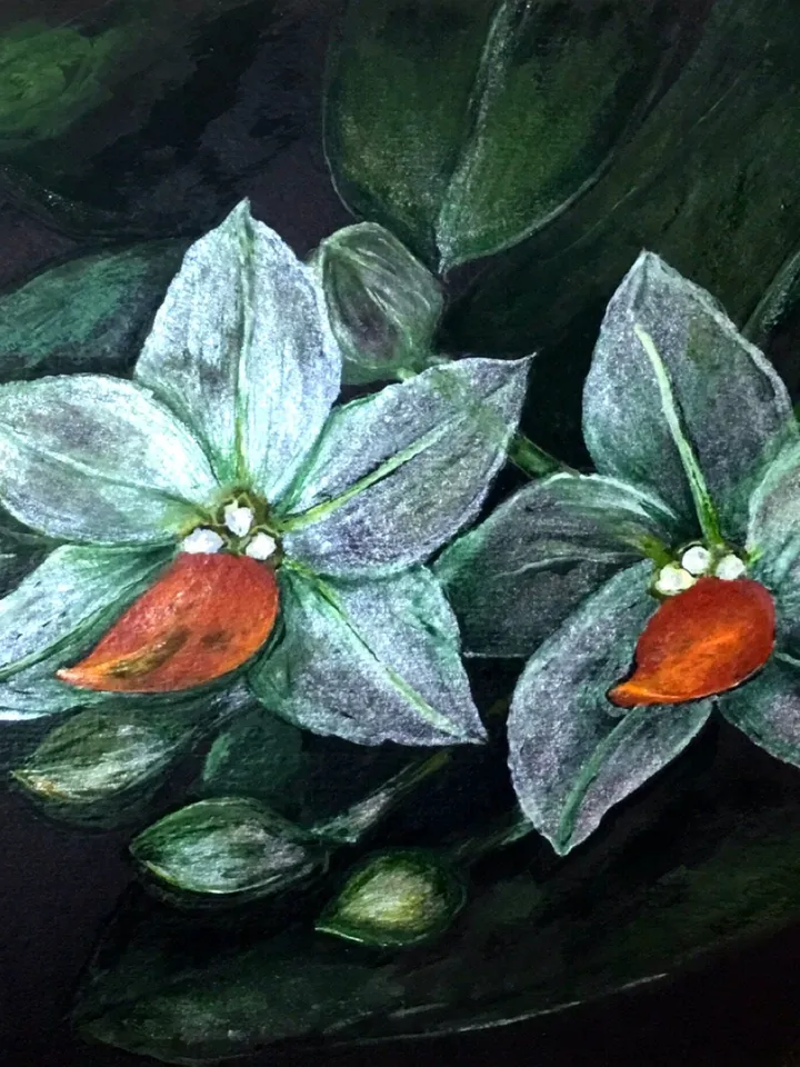 Orchids painting,White orchid flowers on black background, home decoration,original watercolour painting,framed.