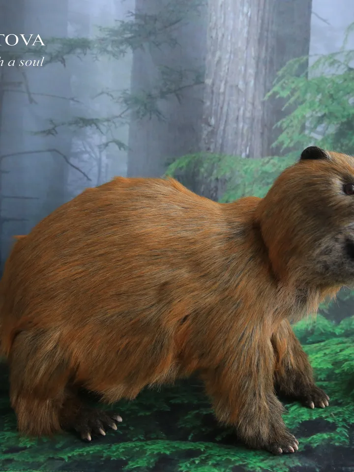 Beaver Boris realistic plush toy