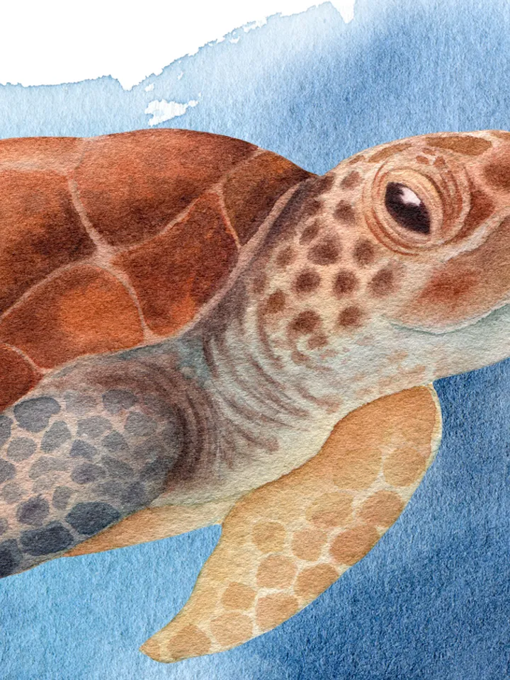 Sea animals. Under the sea. Watercolor hand-painted (not AI!) clipart. Whale, crab, goldfish, seahorse, turtle, octopus, seagrass. Decoration. Printable PNG. Instant download