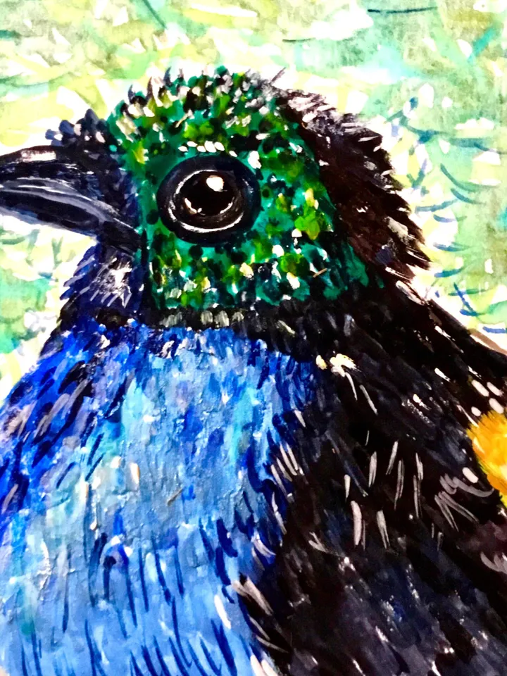 Paradise tanagra bird original watercolour painting.Bright exotic bird.