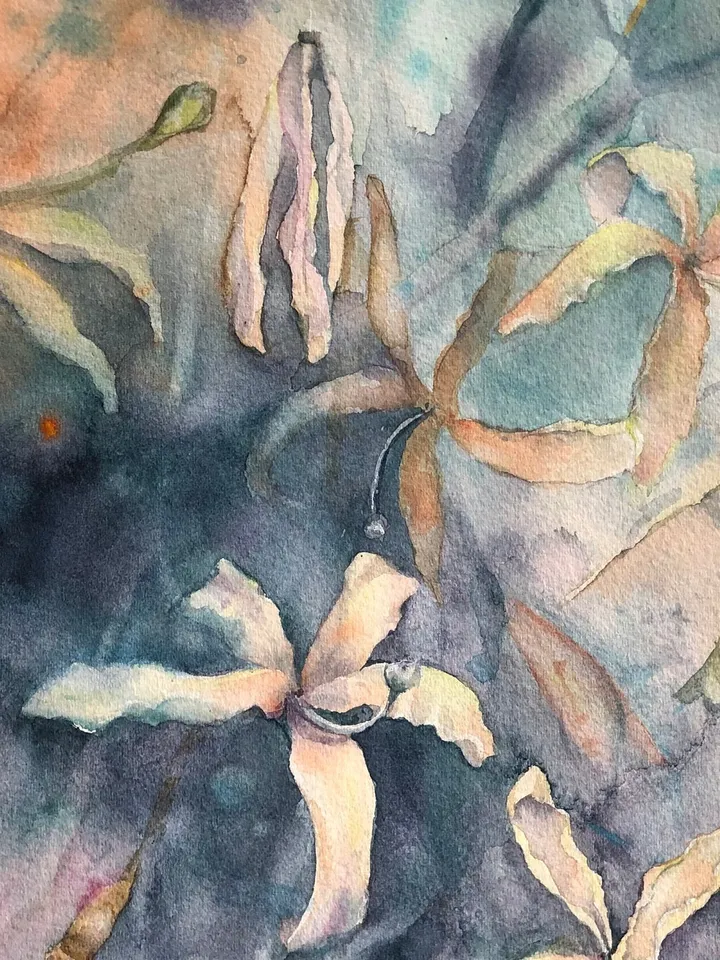 Flowers Original Painting Floral Watercolor Blooming Tree Painting