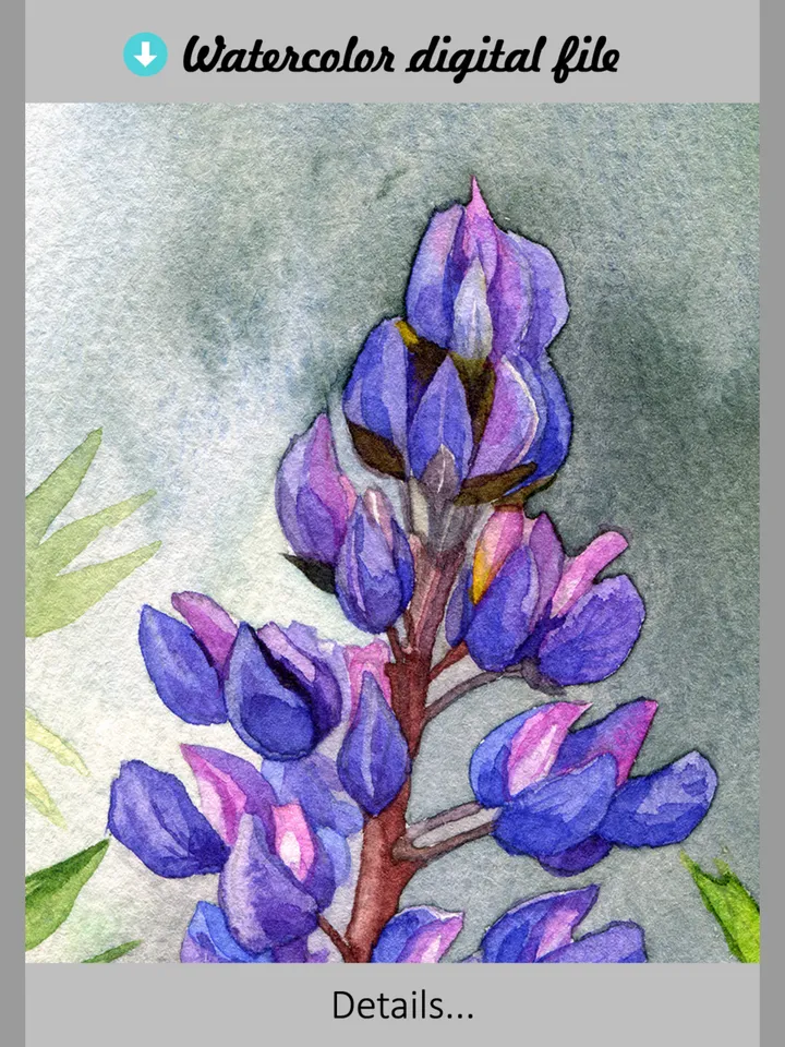 Watercolor digital print Purple Lupine Flowers, wildflowers