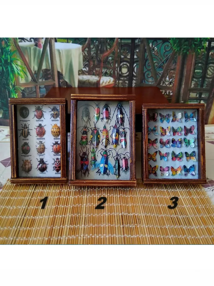 Collection of butterflies under glass for dollhouses.1:12 scale.