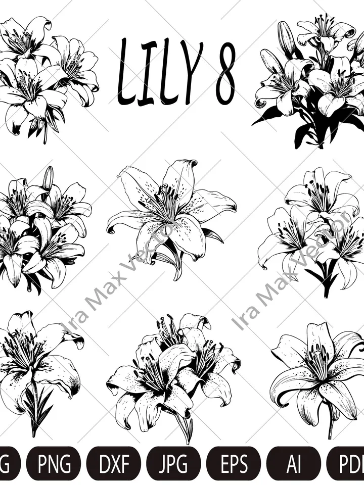 Lily Flower Svg, Lily Svg Bundle, Lily set Svg, Hand Drawn Lily Svg, Flwer Bouquet Svg, Floral Svg, Flower Wedding