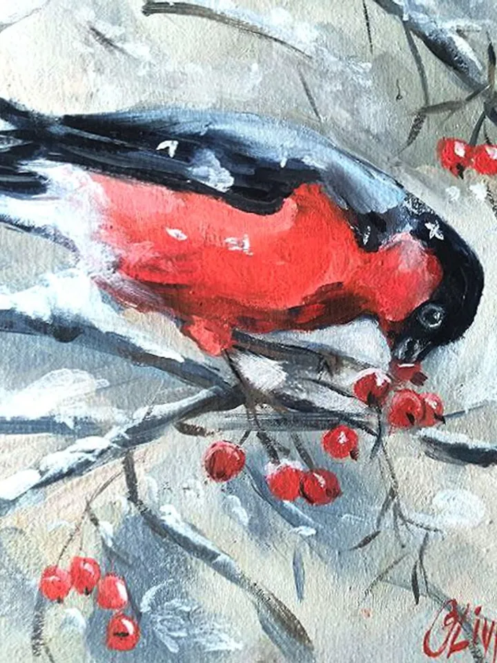 Bullfinch Art Bird Original Oil Artwork Bird Painting OlivKan