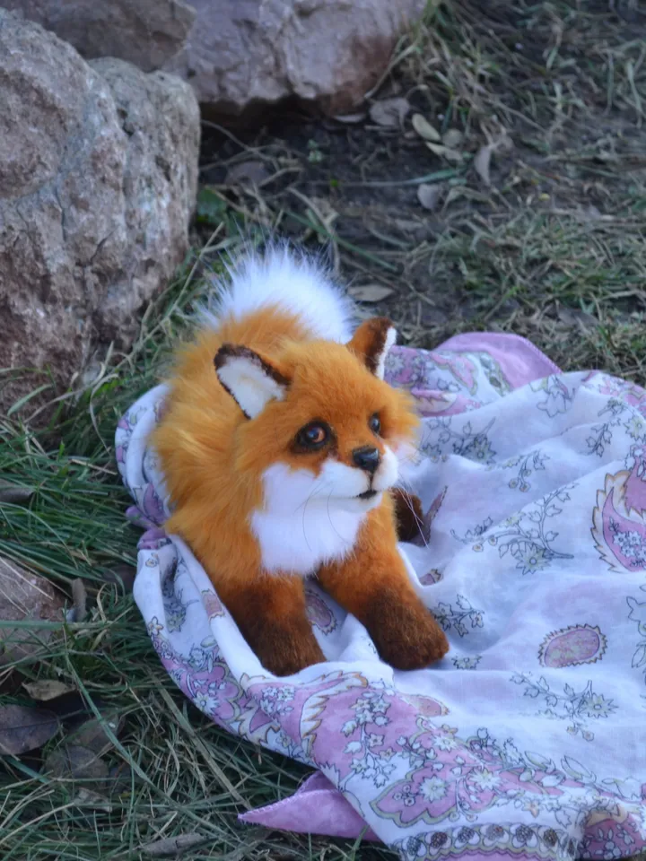 Little fox.