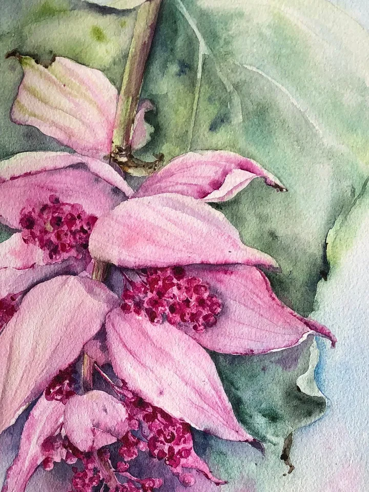 Flowers Original Painting Tropical Floral Watercolor Bouquet Painting