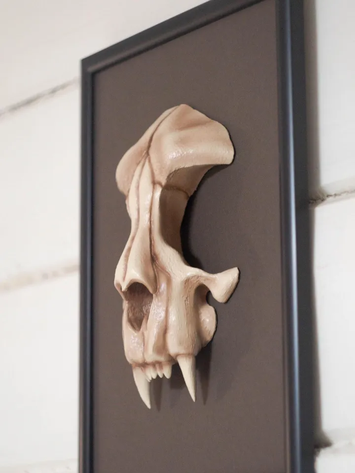Wall-Mounted Sculpture with cat skull, framed skull, wall sculpture, Frame art, Faux Cat Skull Taxidermy