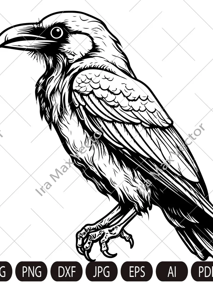 Raven SVG ,Black Crow svg, Raven sitting svg, Crow sitting svg,Cute crow, Vintage Design, Gothic Art, Raven Print, Printing Clipart, Birds