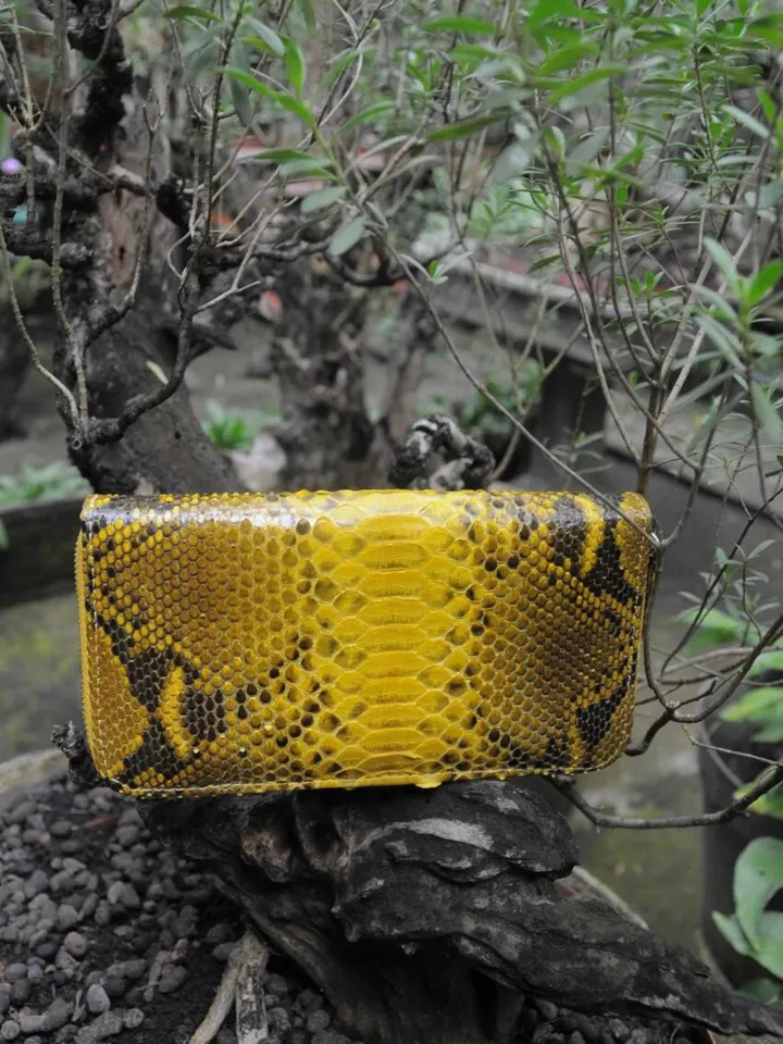Wallet genuine python skin yellow snake color, women wallet, leather lady wallet, classic zip wallet, designer wallet handmade, money wallet