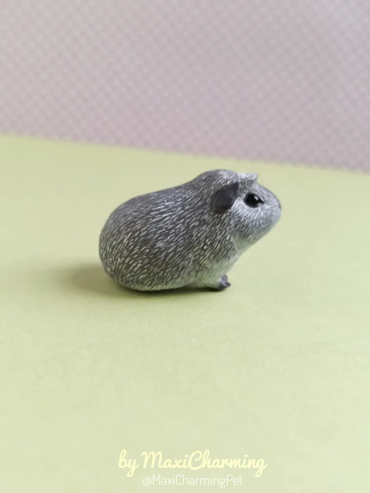 Guinea pig portrait from photo