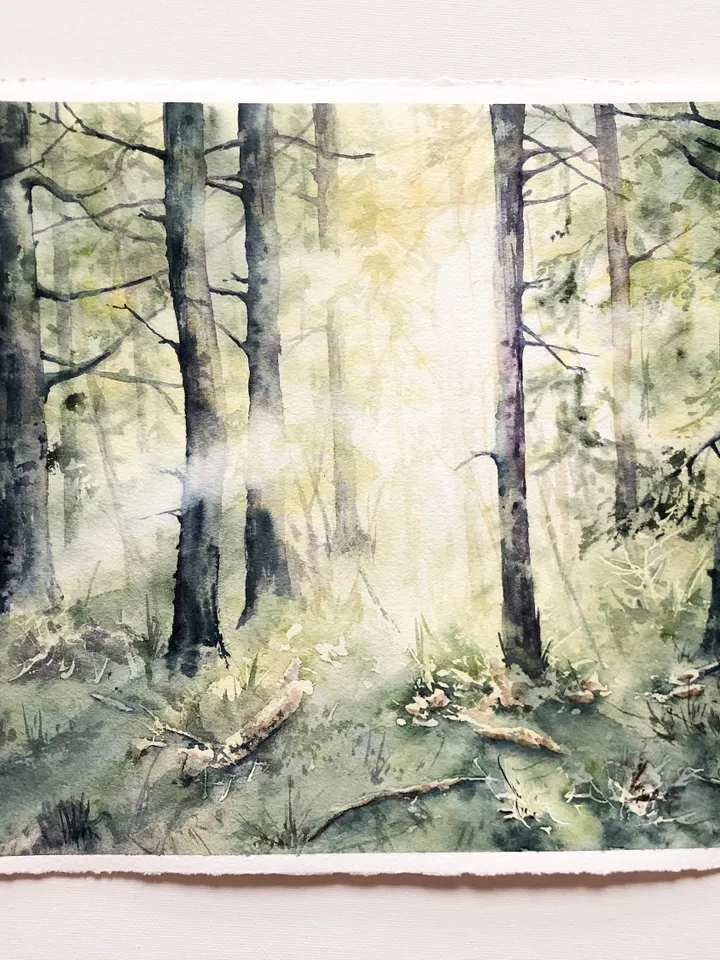 Forest Painting Original Trees Watercolor Painting Sunset Wall Art