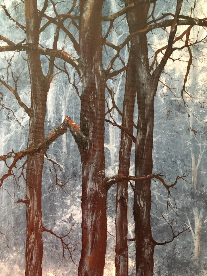 Forest Oil Painting Trees Original Oil Wall Art