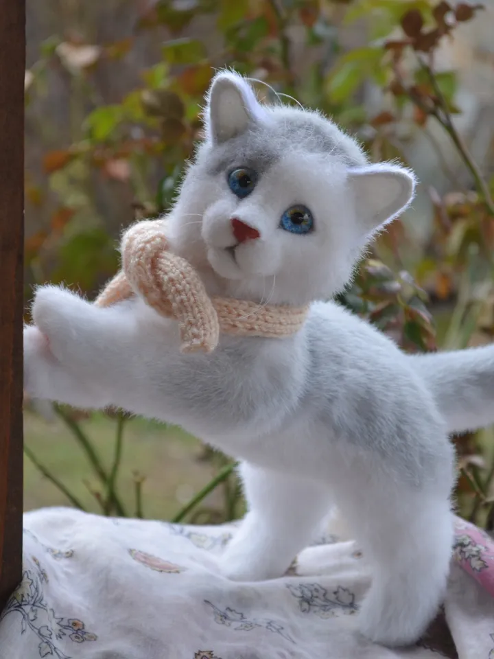 Kitten Marie