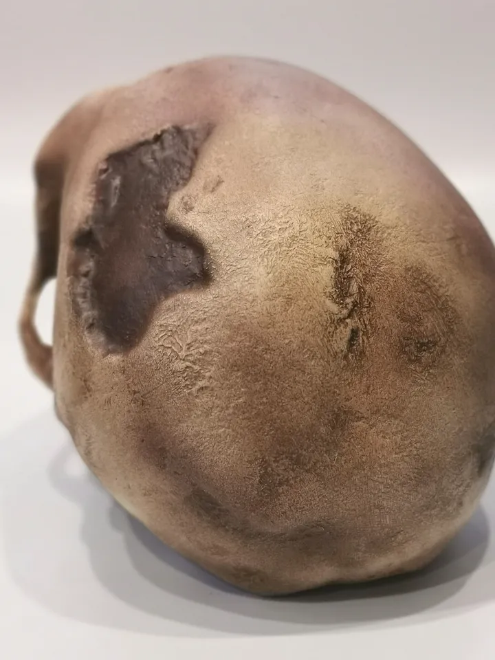 Homo Neanderthal Skull La Chapelle-aux-Saints Replica, The Old Man of La Chapelle, Prehistoric Fossil Collection, Realistic Hominid Skull