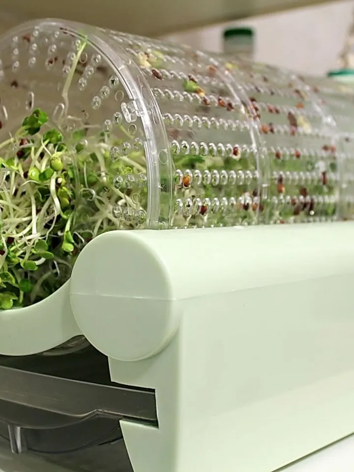 Automatic seed germinator Vitaseed Rota Garden Suba Seeds Vitaseed germinator