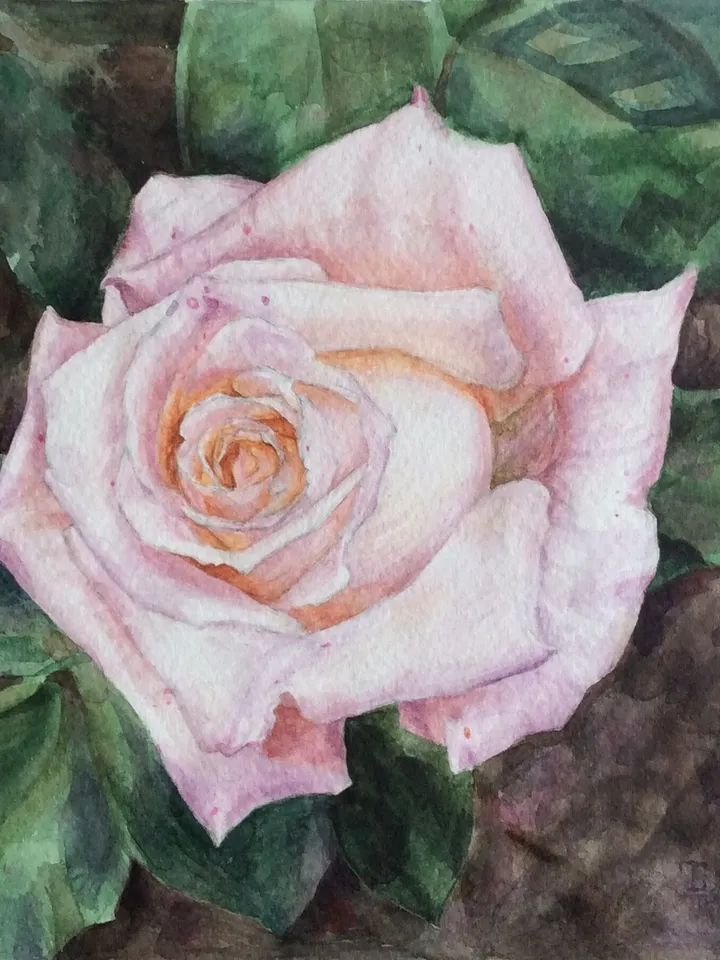 "Violet Rose" Flower Original Wall Art Painting Watercolor Artwork, 17x17cm.