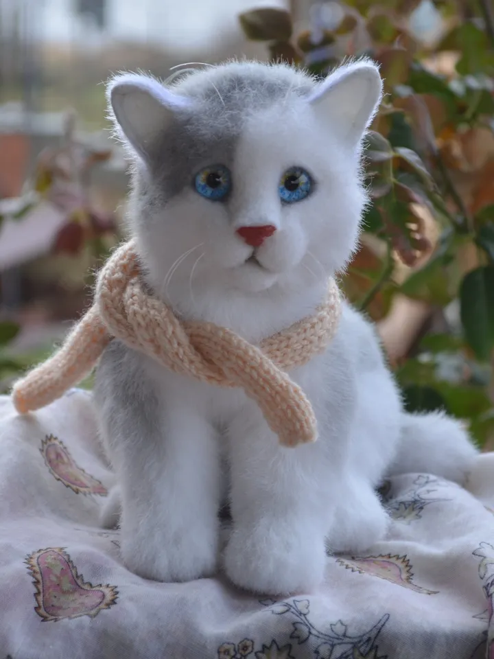 Kitten Marie
