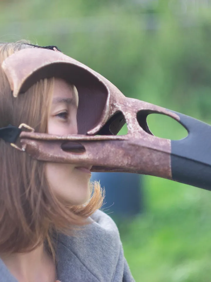 Bird Skull Mask, Raven Skull, Viking skull Mask, bird mask, plague doctor mask, steampunk mask, bird beak mask, Voodoo Mask, Raven Mask