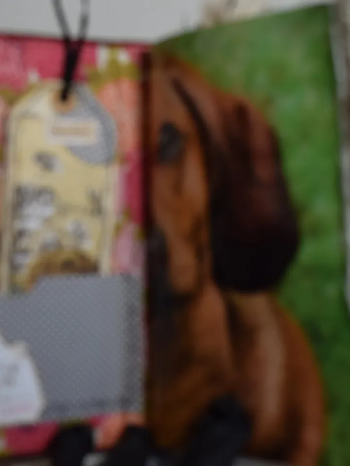 Dog Themed Handmade Junk Journal