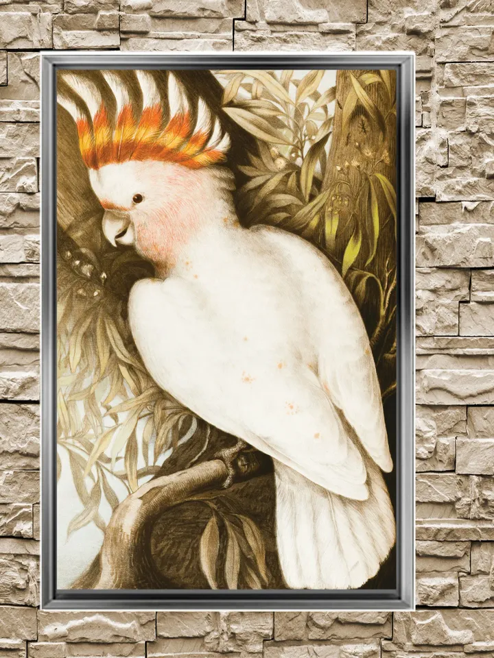 Leadbeaters Cockatoo, Plyctolophus leadbeateri parrot Print on Canvas , Floating Frame Option, Modern Wall Art, Extra Large Canvas Wall Art