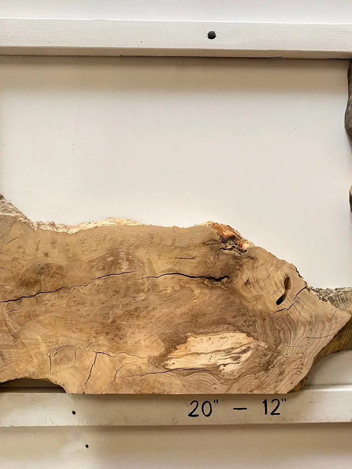 Olive Wood Cookies, Epoxy Resin Wood, Live Edge Wood Slab, Raw Edge Wood Slab, READY TO SHIP