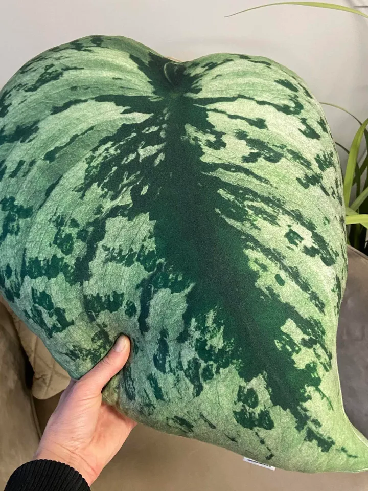 Scindapsus plant pillow / scindapsus cushion / scindapsus pictus / scindapsus exotica / plant pillow / plant lover gift / plant cushion