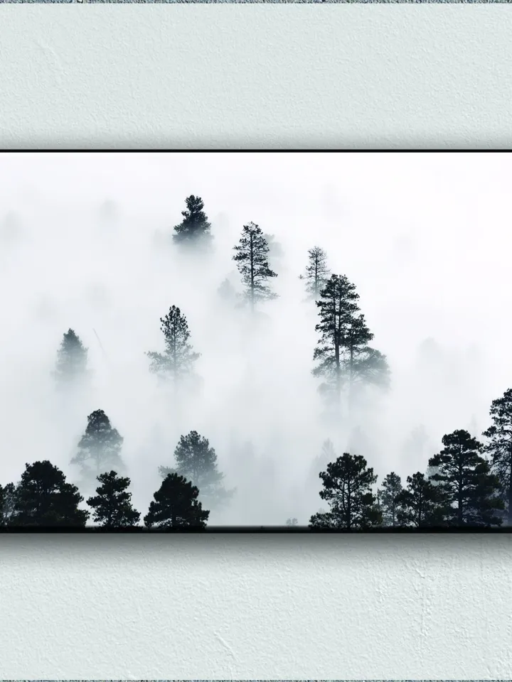Foggy pines Landscape Print on Canvas , Floating Frame Option, Modern Wall Art, Extra Large Canvas Wall Art
