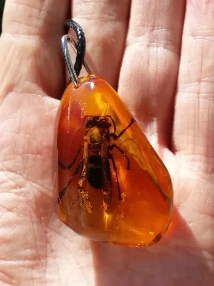 Real insect Bee in Amber Epoxy Resin Keychain Insect taxidermy keyring honeybee Nature Key chain ring Gift to friends