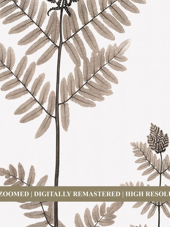 Vintage Fern Prints set of 2 Wall Art, Watercolor Painting Botanical PRINTABLE Home Decor, Digital Downloadable | 28 S2