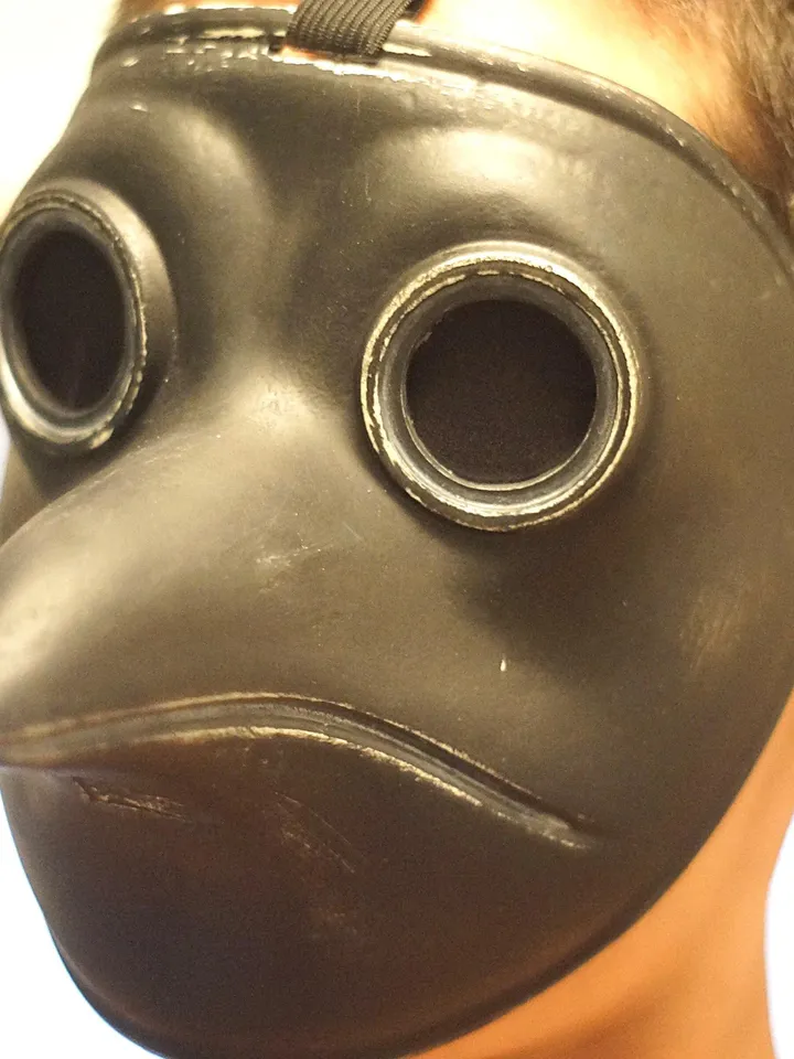 Plague Doctor mask Medieval Mask Cosplay Steampunk Bird Reaper Hood Custom made Custom plague mask Mesh Eye Lens