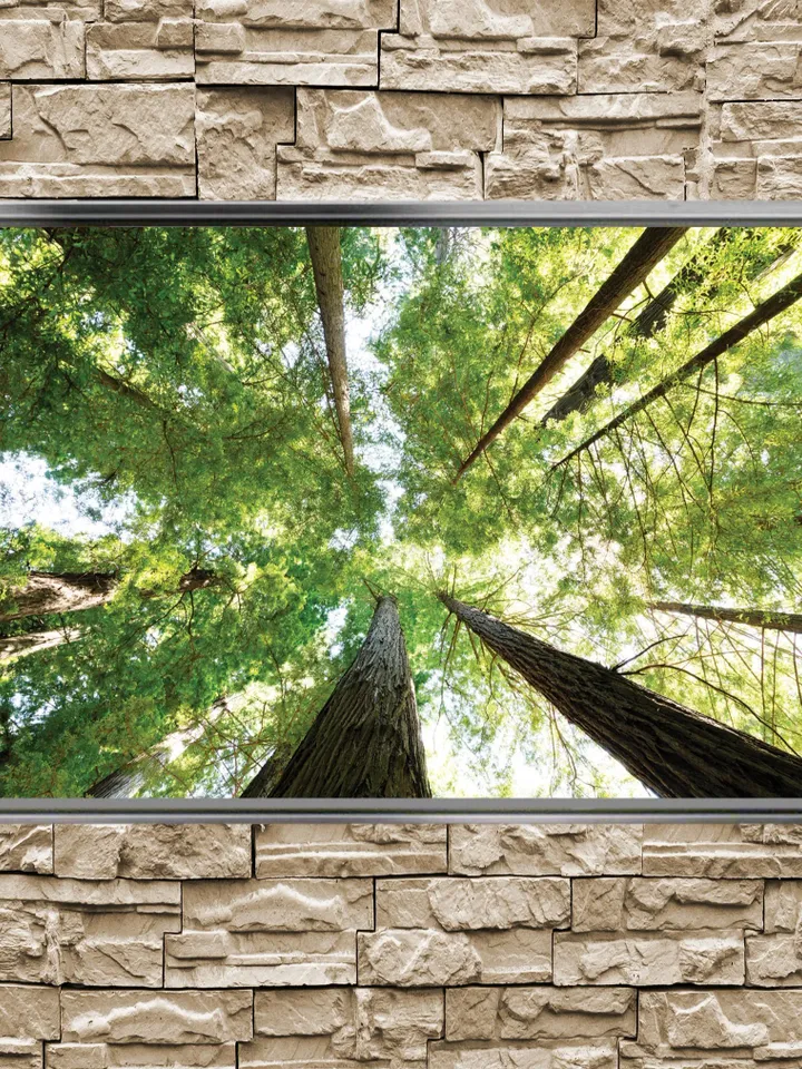 Forest Landscape Print on Canvas , Floating Frame Option, Modern Wall Art, Extra Large Canvas Wall Art