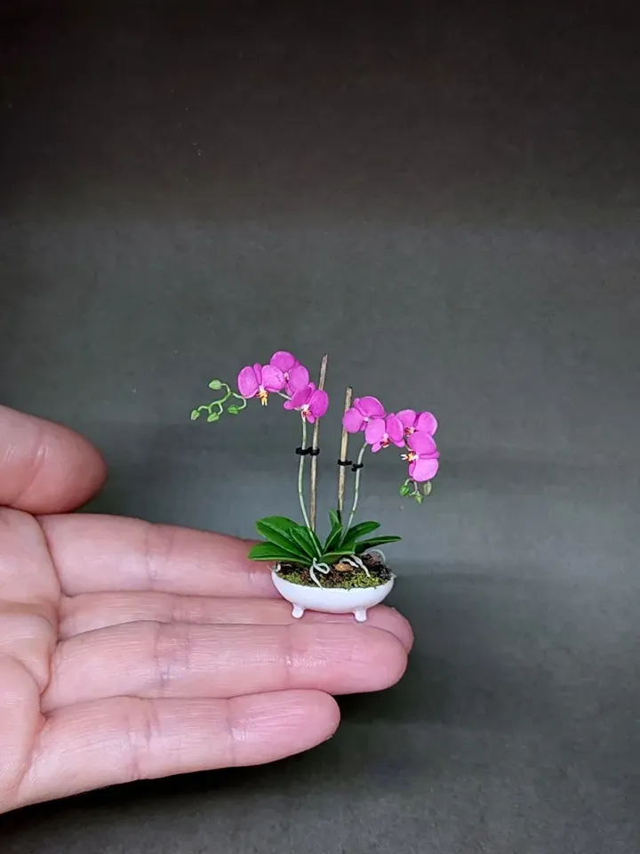 Orchid miniature Dollhouse 1:12, Dollhouse Orchid in a Pot, Miniature Fuchsia Orchid in a white pot,Orchid 1:12 in a pot