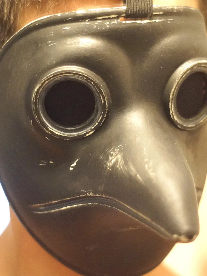 Plague Doctor mask Medieval Mask Cosplay Steampunk Bird Reaper Hood Custom made Custom plague mask Mesh Eye Lens