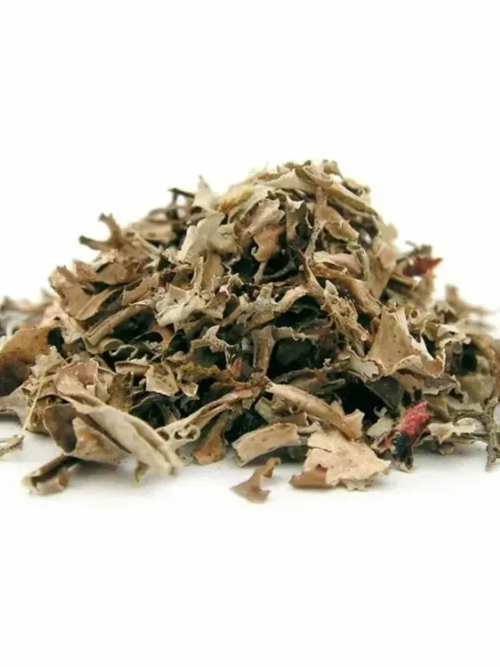 ICELAND MOSS - ICELAND CETRARIA WHOLE FAMILIES OF MOSS Altai Republic 50g ( 1.76 oz)