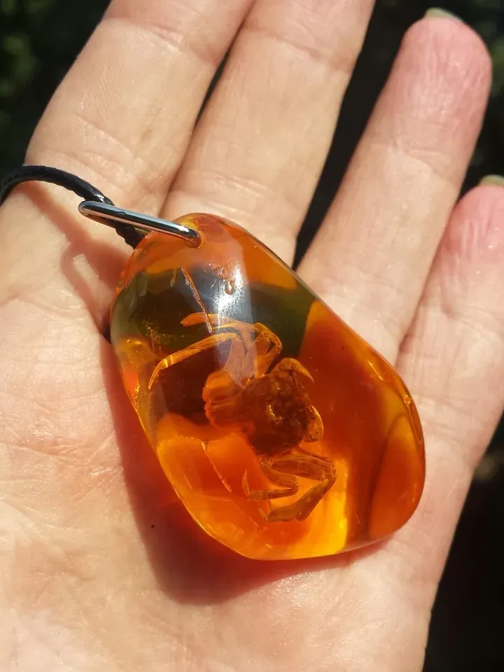 Real Crab in Amber Resin Cancer Pendant Necklace Amulet necklace Animal jewelry gift children birthday gift cancer