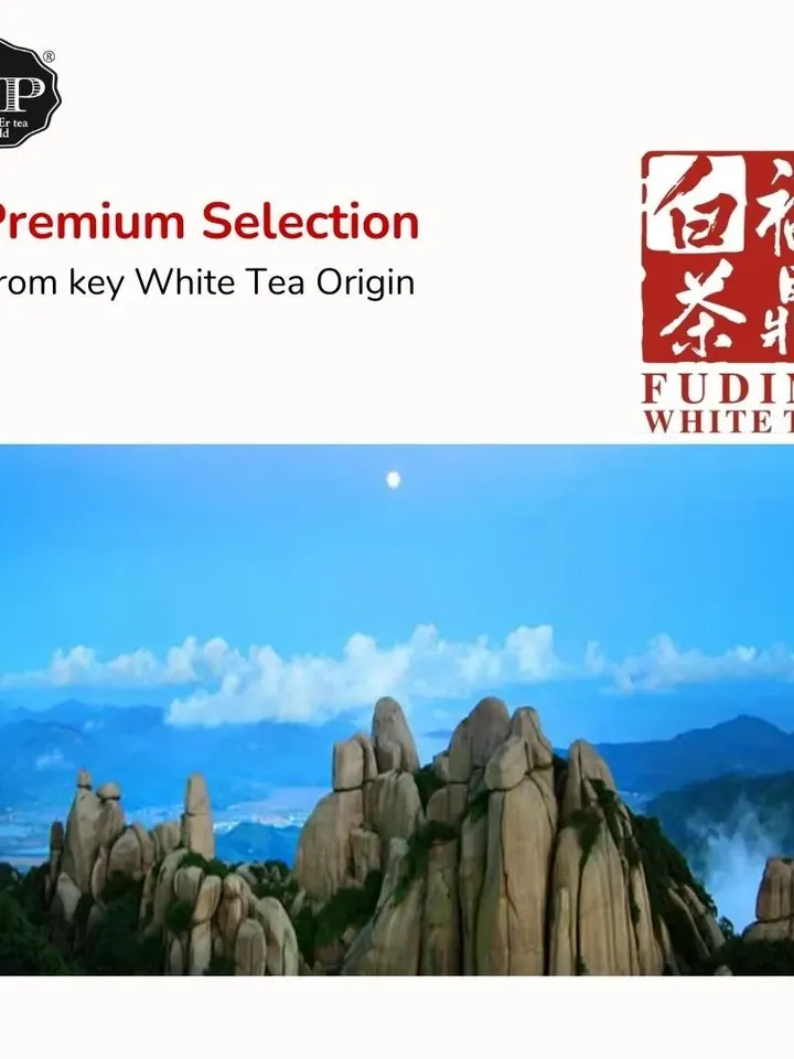 White Tea PEONY FAIRY™ Bai Mu Dan 1823 mini tea bricks 12s 72g