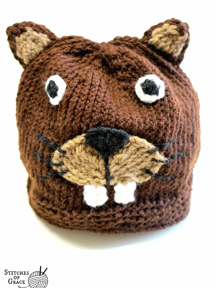 Knit Yarn Beaver Hat, Halloween Costume Ideas for Kids and Adults, Knitted Winter Hats for Children, Crochet Animals for Babies, Animal Face