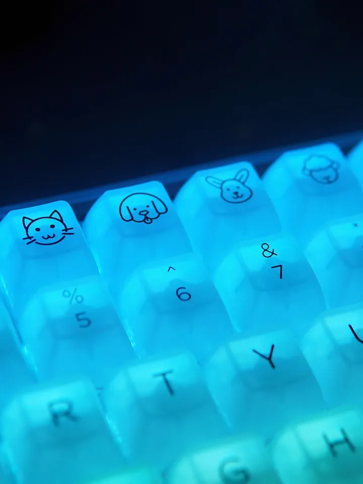 White Clear keycap Backlight keycap Transparent keycap Mechanical keyboard keycap Keycap set White keycap