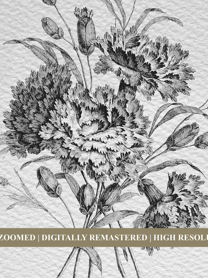 Vintage Botanical Print Set of 2 Sketches, Antique Floral Art Digital, Printable French Country Decor | 23 S2