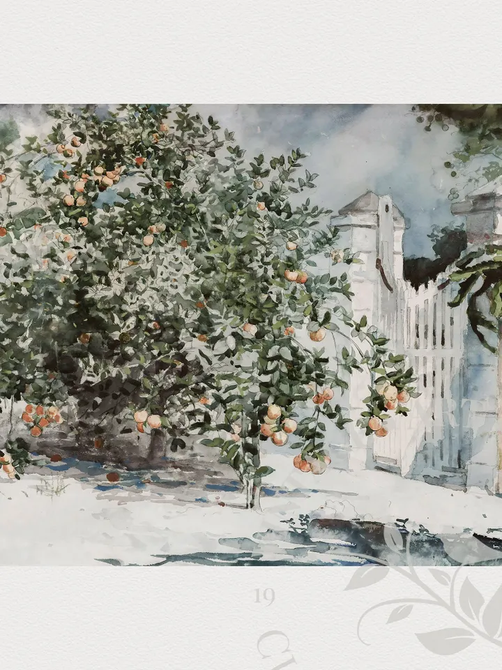 Orange Tree Art Print Watercolor Painting, Farmhouse Kitchen Decor, Vintage Printable Digital Downloadable | 172