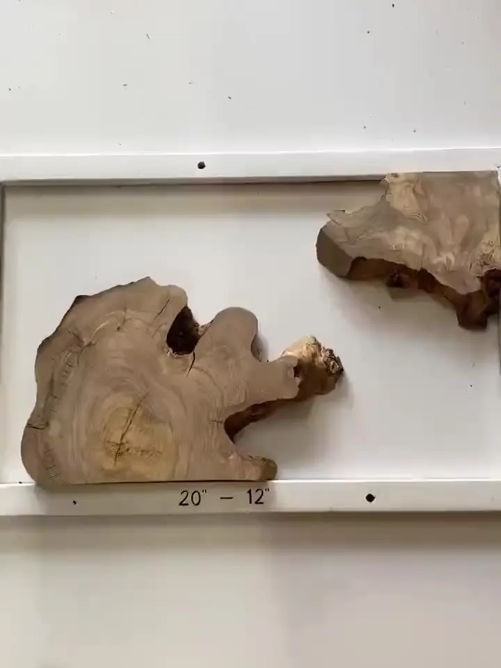 Olive Wood Cookies, Epoxy Resin Wood, Live Edge Wood Slab, Raw Edge Wood Slab, READY TO SHIP